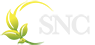 logo-light